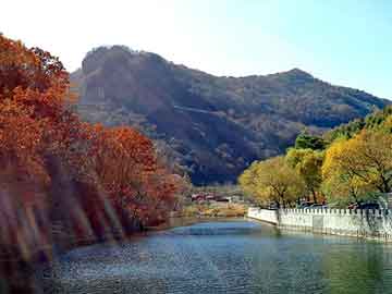 澳门天天彩期期精准平肖，深水埗seo程序